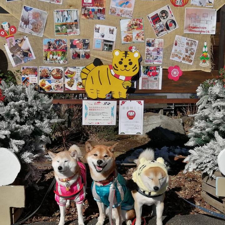 98ee7d01 e44c 4166 be2e fb33235d0d68 1641727354235