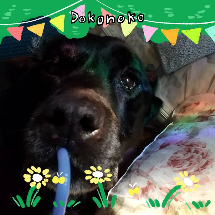 98ef106b 3d14 4f69 a415 16bb8f1c8643 1711003217799