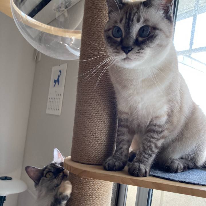 98ef1aa0 7116 4e9e ae92 963c0e19280b 1724546690040