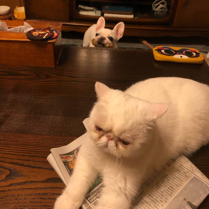 98ef4f5c 5314 43e2 a5a8 29117fae9baf 1664495952715