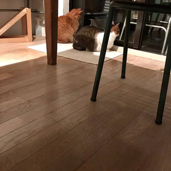 98ef5428 d645 4161 9b8e 2a1d8ac072a6 1511778564241