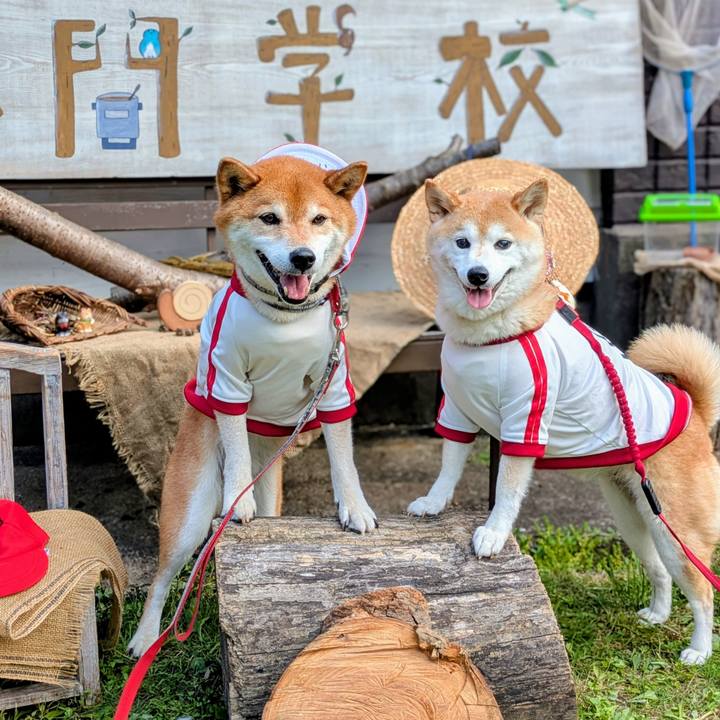 98efa18e 13a9 40ce 8e3d 4ac8d95c4c68 1750732039000