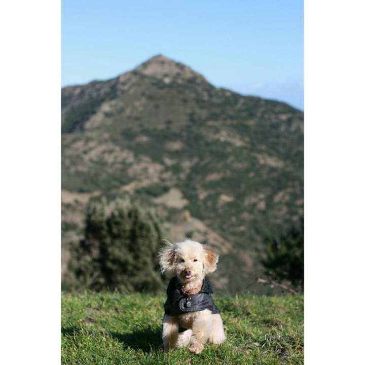 98efabde 9da3 4fc5 8539 604b4b271366 1544772340702