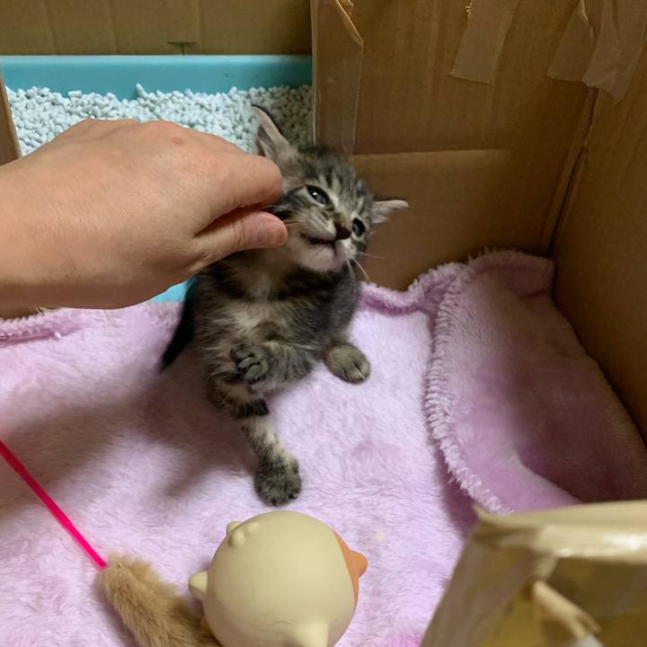 98efc2e4 5f99 4923 93d9 267dfbaced72 1564152652048