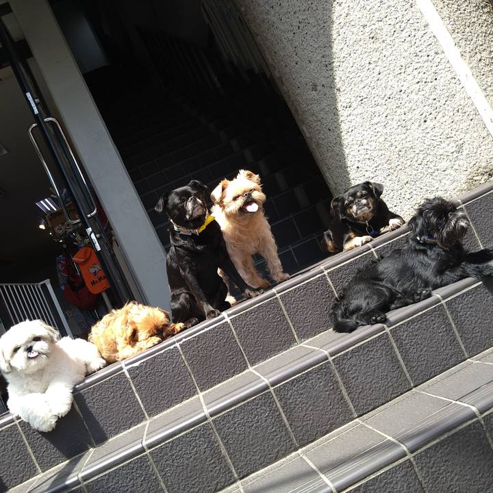 98efe593 ac84 4e84 a12a 36096d8b7cd8 1660475768220