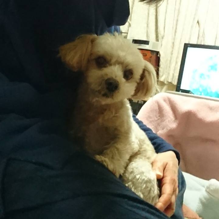 98f0b4c0 ff6d 4b7d acbf 694b1921898a 1576311352139