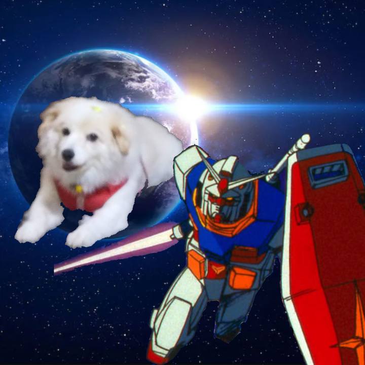 98f11d3c 63cc 44ea bf63 ca055f35b339 1646233511792