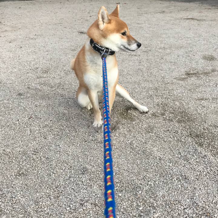 98f19b0c 51ef 4bcc 9b0d d089cf00fe01 1541228739091