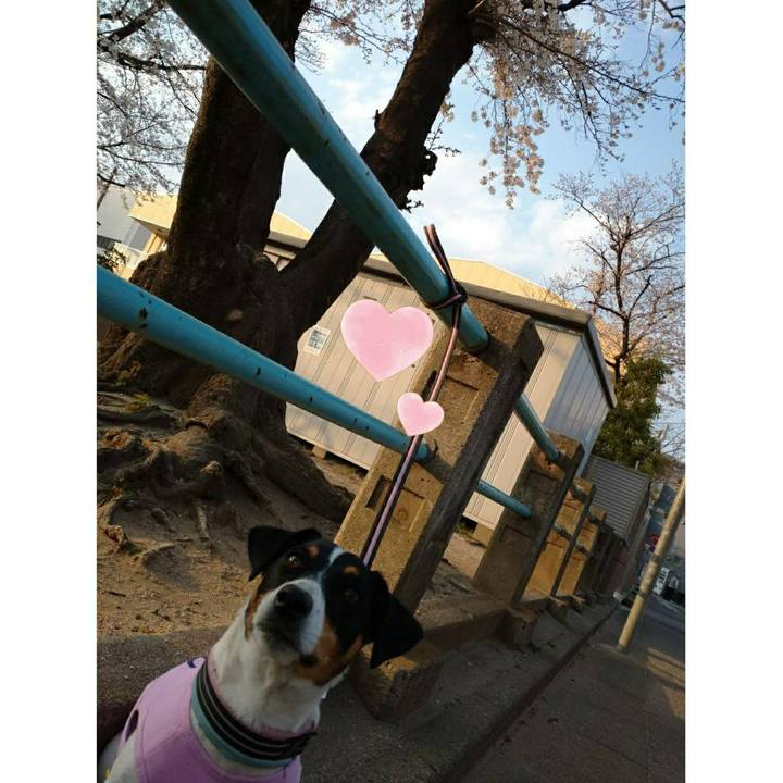 98f1b0c8 bc2e 459f a677 cfc893af301a 1584865533417