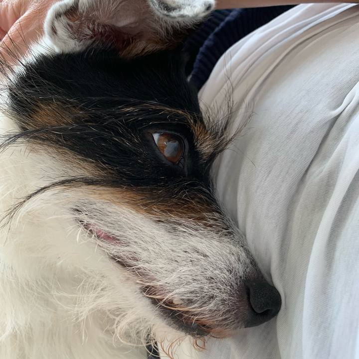 98f1cbe6 c280 46b0 9062 c0e9637342f3 1687234412619