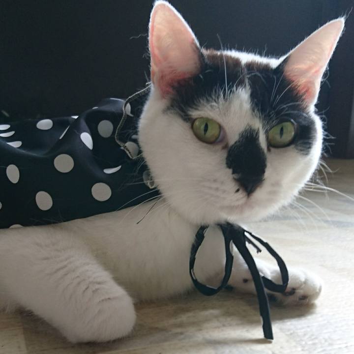 98f21571 250f 41e7 b234 a9df32f91237 1531635895164