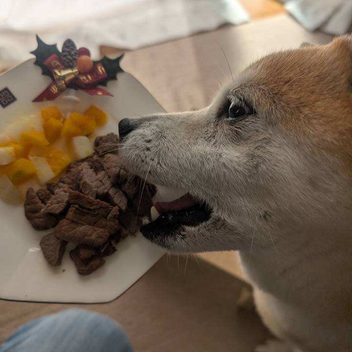 98f215f4 bf4b 41b1 b9c8 cc08d7cfa860 1766239264486