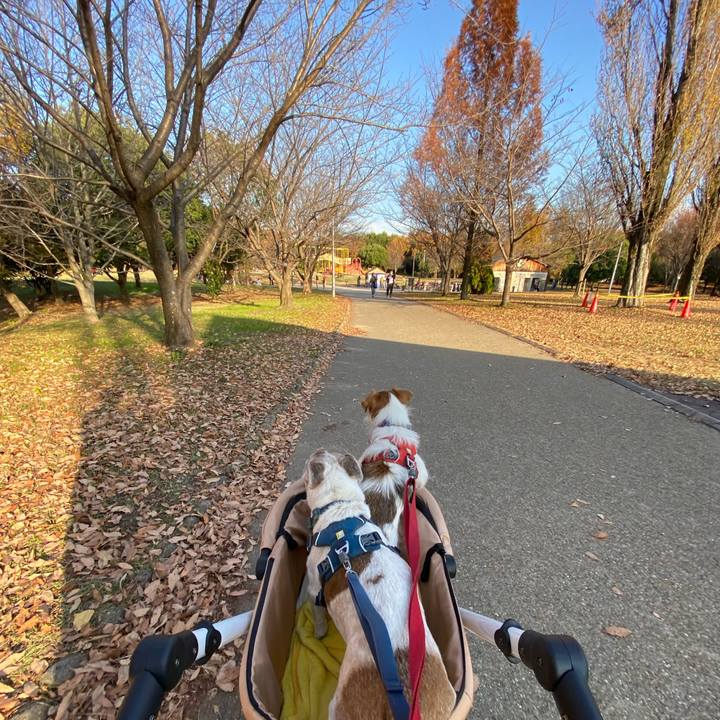 98f2507f 285f 469c b65d e4516348e512 1670062907000