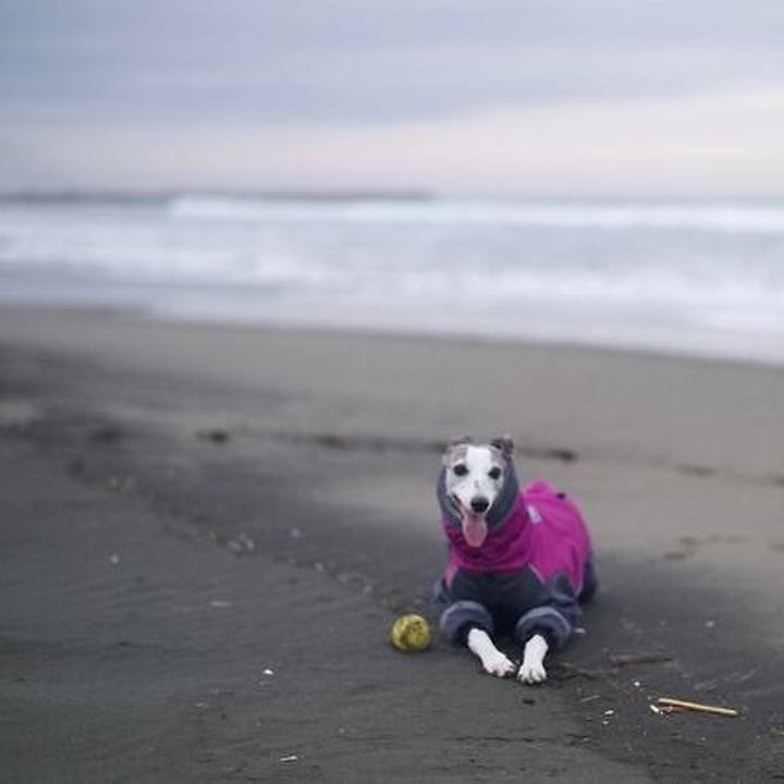 98f26d25 6d07 4858 8600 3efc5ef6666b 1518700764234