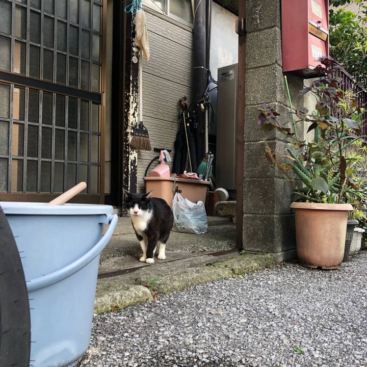 98f27563 b414 49b0 a543 44f29c3715d7 1633436799092