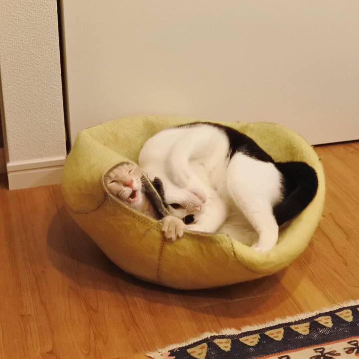 98f2b0ae d63f 40d2 b79e 63b75335789d 1570809669338