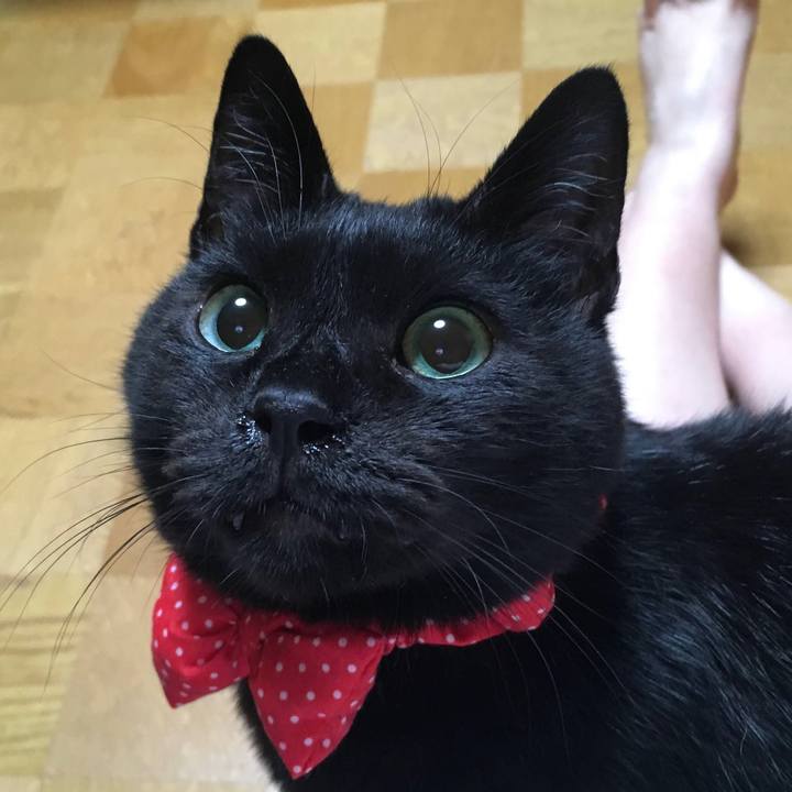 98f2c482 95eb 41f5 b40a e75f6897a11b 1711715277774