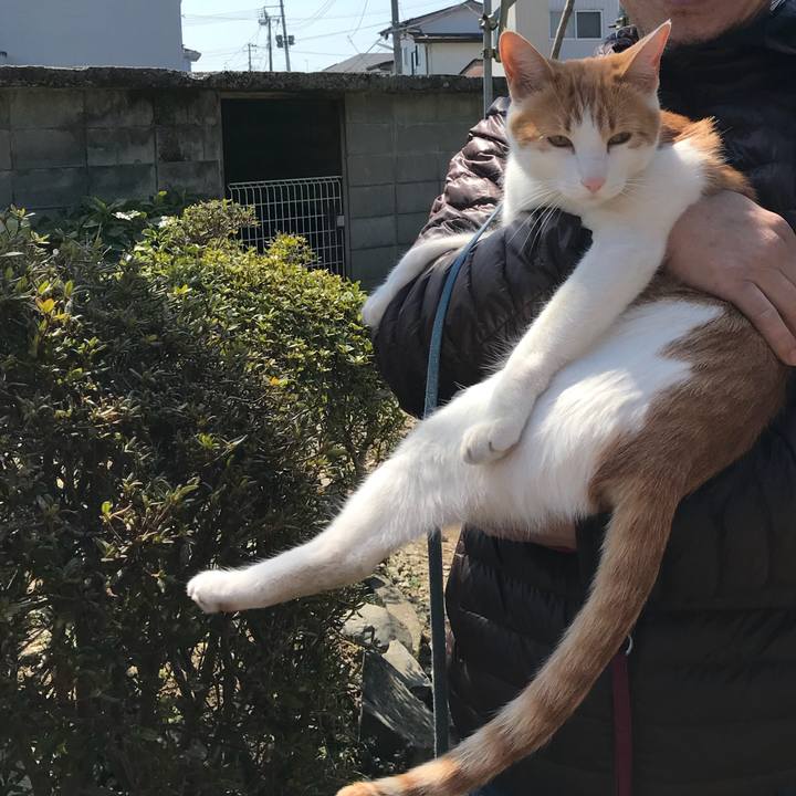 98f2deb6 7a11 4e05 999a eecfc9cdfcda 1522467278292