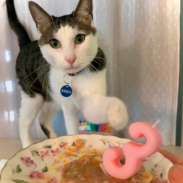 98f2e2ba 313d 421a b526 006f93dfcaa2 1586609503290