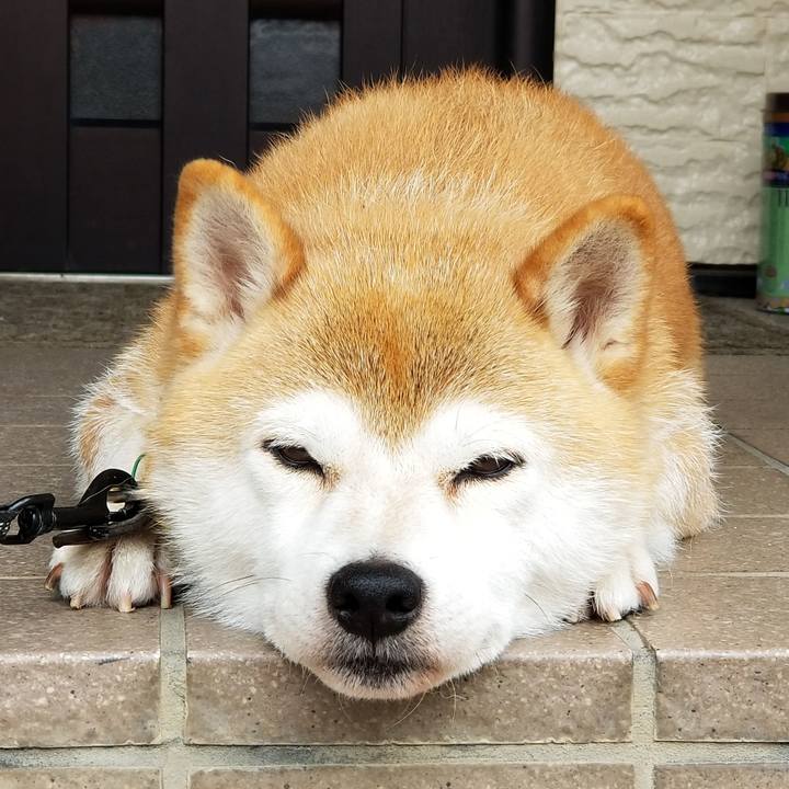 98f2f8f8 b867 4a61 99da 7106c9df6d3c 1596152833066