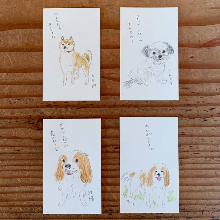 98f31792 c7ec 4231 a8c1 f2cccca57dc2 1602641112072