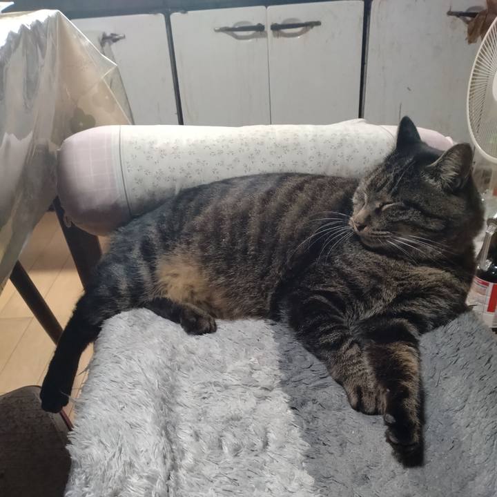 98f320a5 c20c 4ff6 8497 0a2951eed167 1668737398979