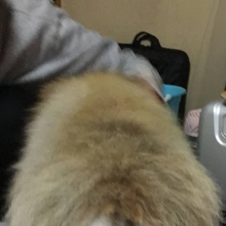 98f32454 03e6 4e21 a511 c1cdc2519a8f 1608932969598