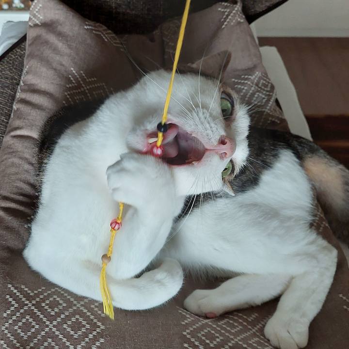 98f37862 c0d7 4c53 a371 2d965be9958f 1657061612638