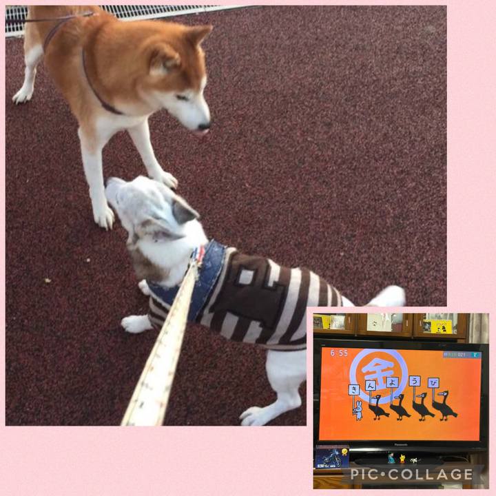 98f3dd3c ab22 4273 ad74 adb01ac3ead7 1764885573712