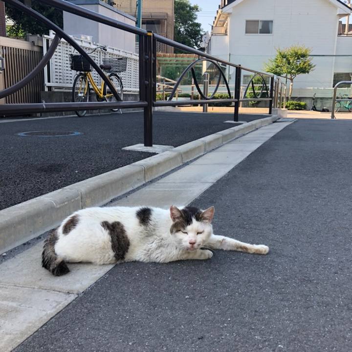 98f3e3dd de72 4933 a901 25c8a4879cab 1558694344275