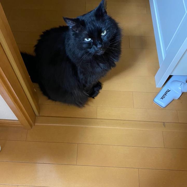 98f3f205 08e5 413d 9462 d86d4462bddc 1587303707535