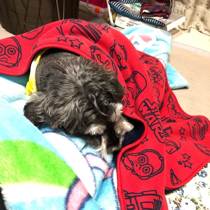 98f42196 269b 4173 a2ea 852104b1394d 1641559715823