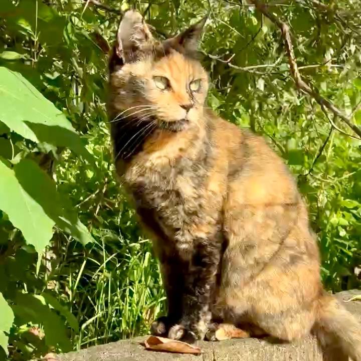 98f42fcd b846 45b1 abee e0af9741eff4 1759115873897