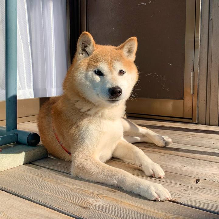 98f44002 1256 4081 9e53 234bd09a12b5 1675506197502