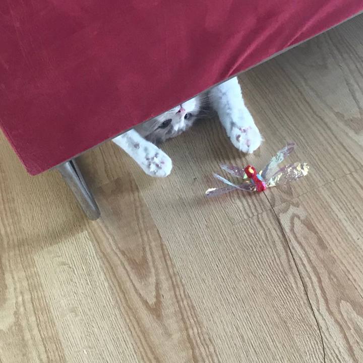 98f45b64 29fc 4017 a5b3 2847968ca054 1562306458297