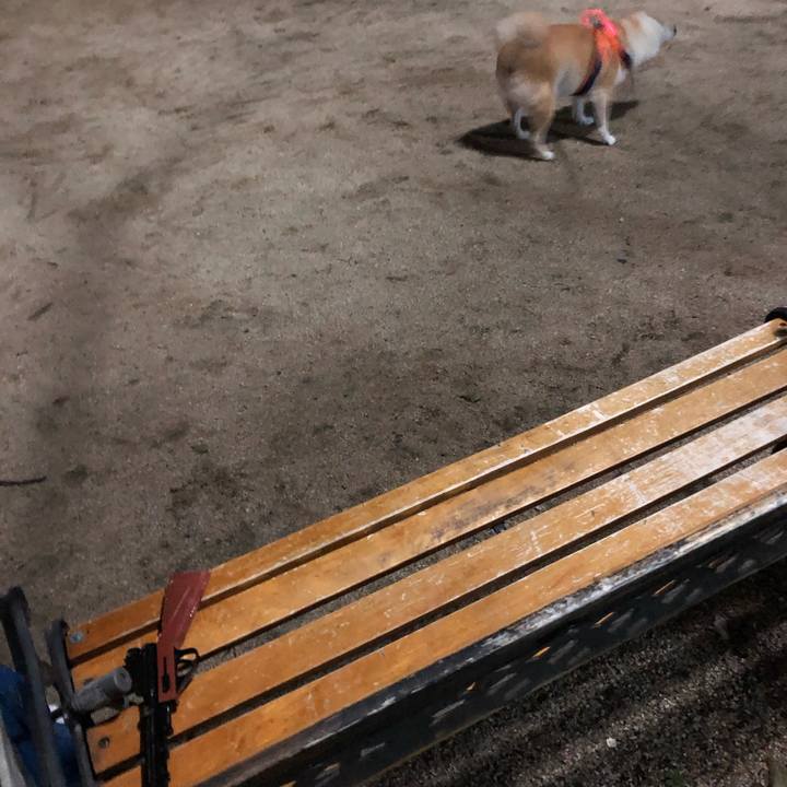 98f46d5f b7f2 40c1 9c66 3d248c7a08e3 1583670315463