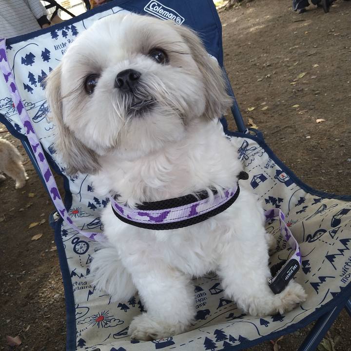 98f476ba 04e0 4288 be90 bfd64b54076a 1665884695580