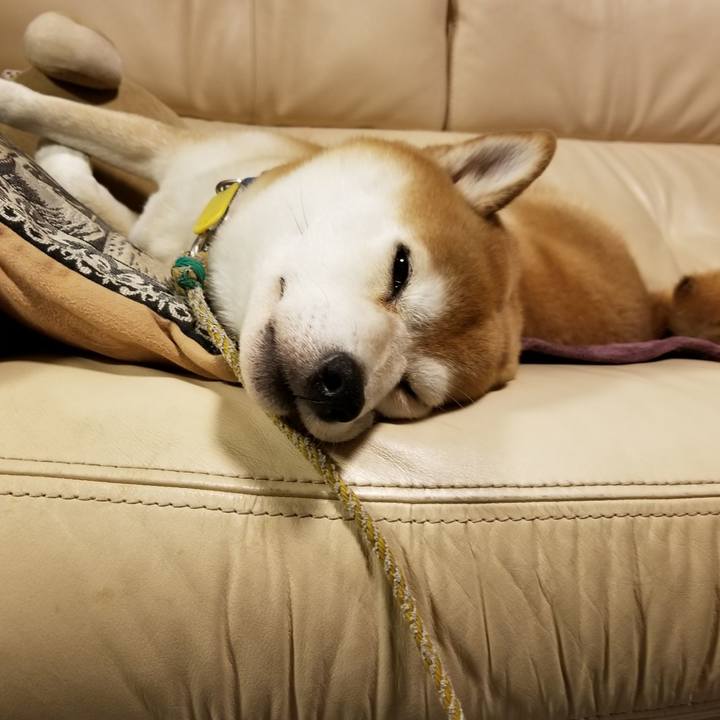 98f498a0 7031 4b6d 8e8e 2c17060b7d13 1572948200097