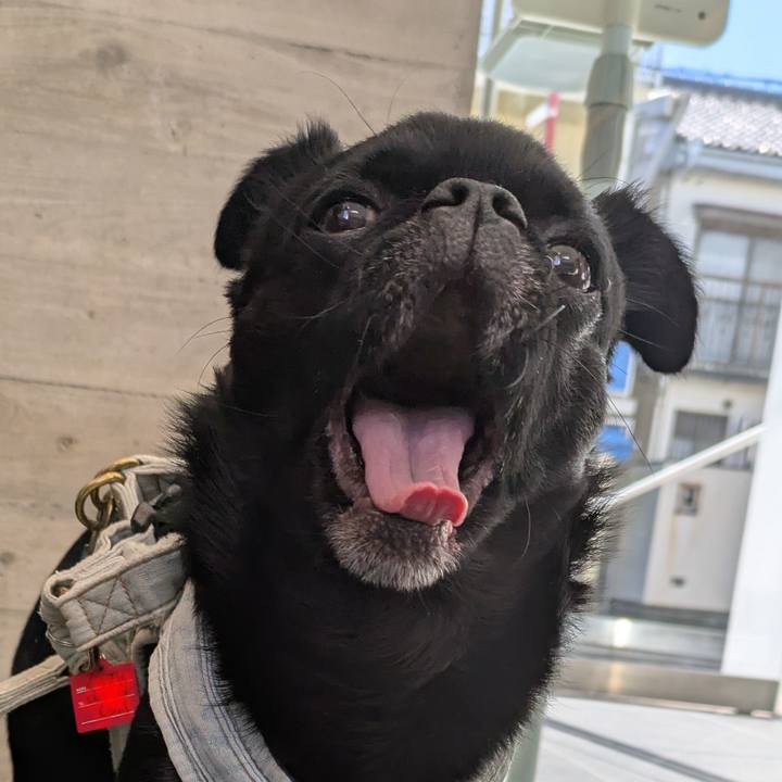 98f49bf2 910f 466f 9dbb 978734df56e9 1773468498658