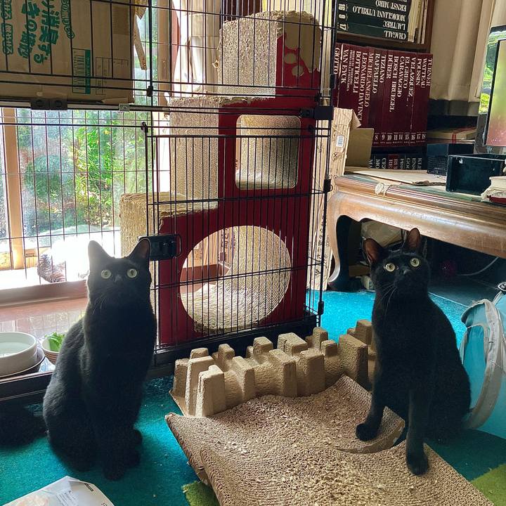 98f4adbe 94a8 4a0b ab3d e11d0ba87a39 1754105120823