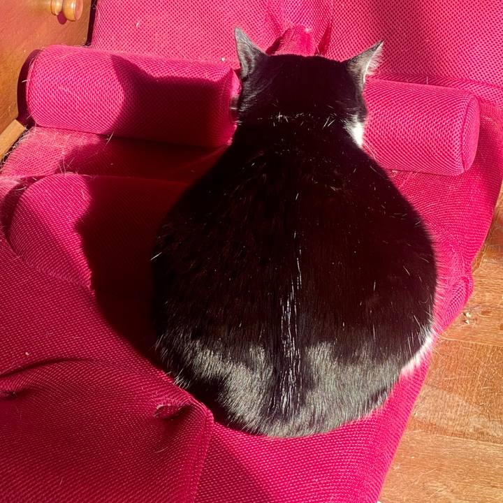 98f4cf66 8080 4ffe 9cc9 3c47f1d38ca9 1737117718316