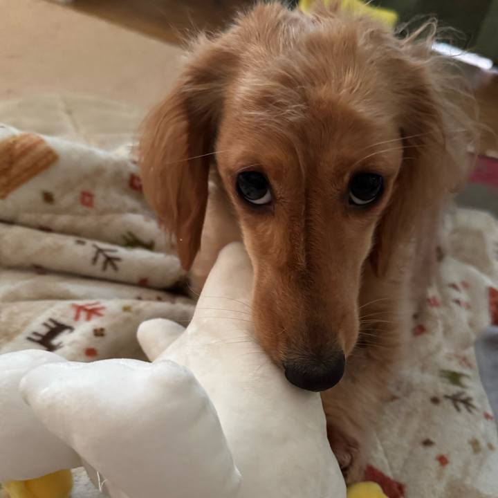 98f4faf8 16bf 41f3 a215 561c59551e86 1738585398076