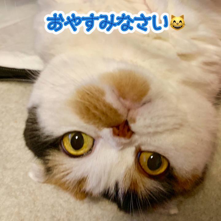 98f5029b 26db 4f99 9118 5dfbcbfccca6 1563110312307