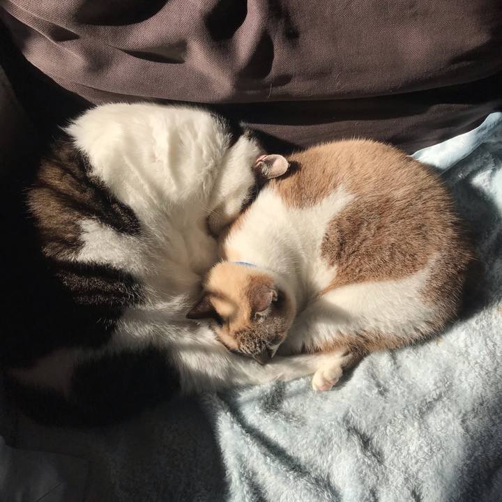 98f50b0b 188d 4ecc 9940 571bfce4119d 1543379154302