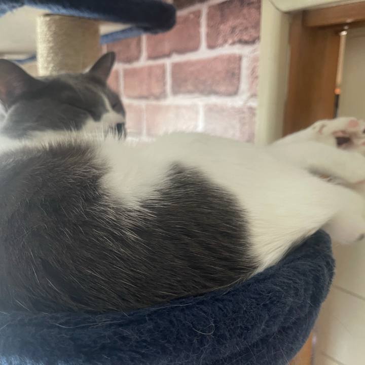 98f52555 b2c9 4f5b bd24 4413d5f3e902 1630304243784