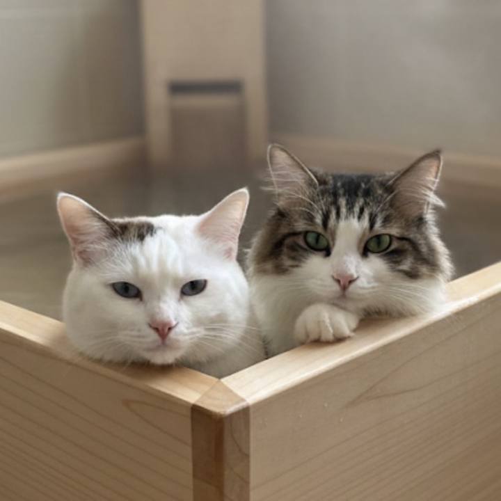 98f559ef 30db 468b b8e6 9308d16a94c8 1767165862914