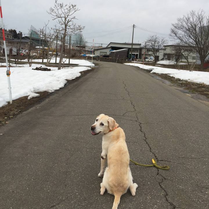 98f584f9 b112 4717 877b 0ac7567a9058 1577197325987