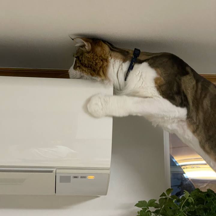 98f5886c 07b3 4b44 8ab8 f53fe7b1a202 1659008576543