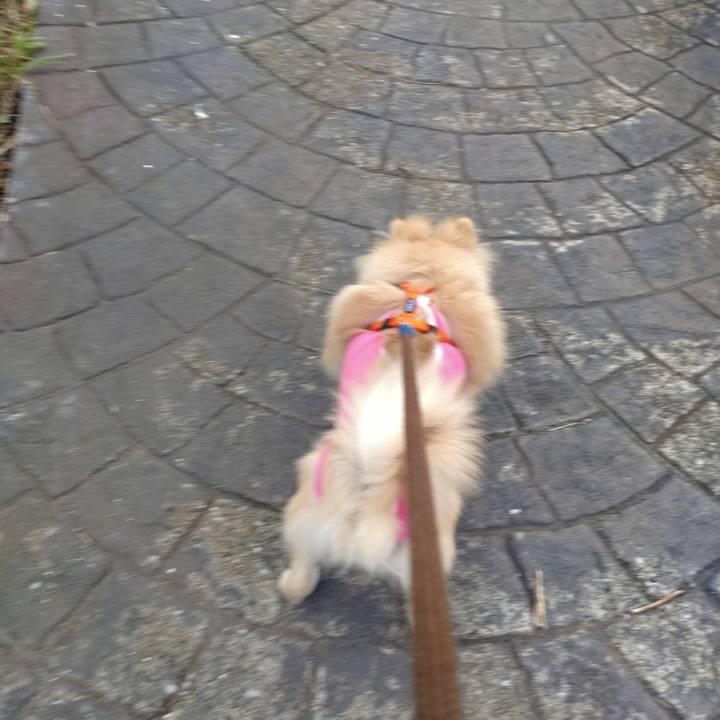 98f58d07 151b 4963 927f 03ff0c5fc31c 1730850331271