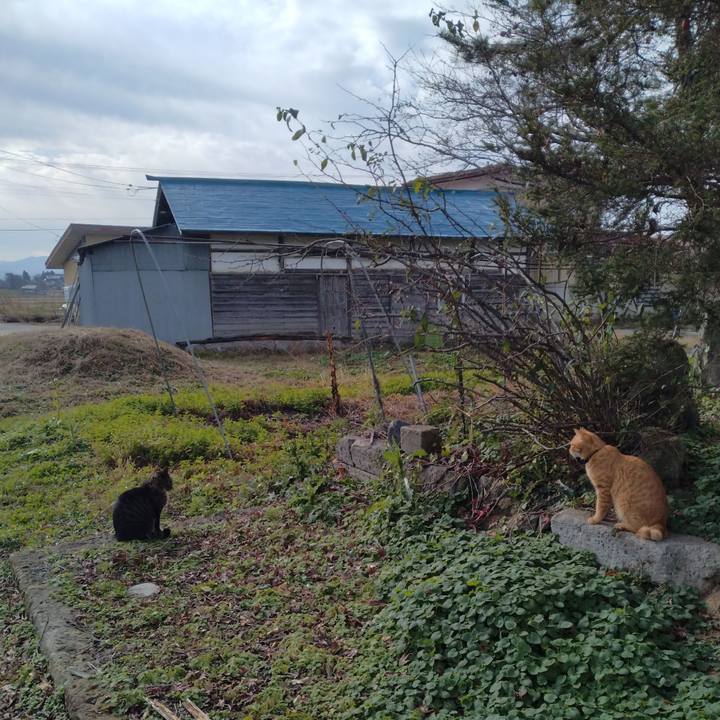 98f5be69 b3b3 4ffc 82dc 171679287c94 1668912456433